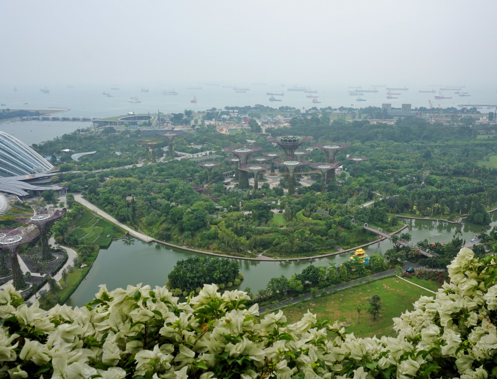 Marina Bay Sands'ten Gardens by the Bay