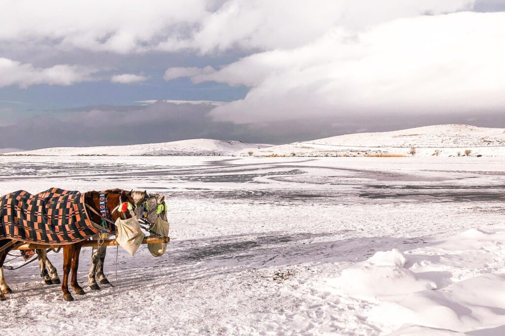 çıldır gölü ne zaman donar