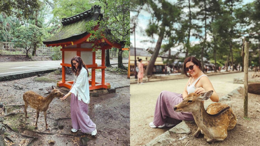 japonya'da gezilecek yerler